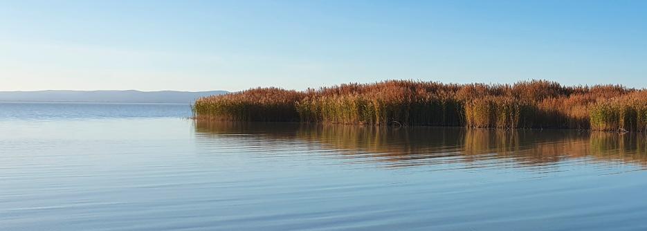 Neusiedlersee